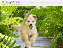 Tablet Screenshot of dogstreetphoto.com